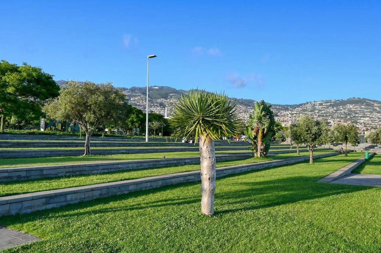 Beco Santa Emilia 3J, A Home In Madeira Funchal